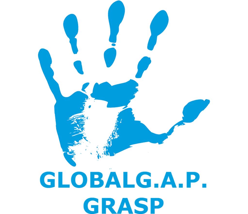 logo GRASP