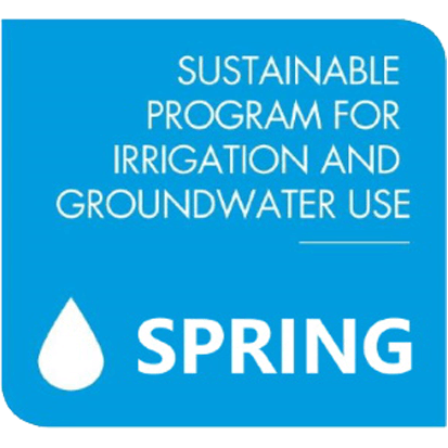 logo SPRING